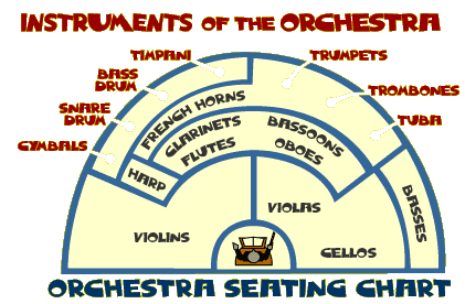 types of stringed instruments in an orchestra